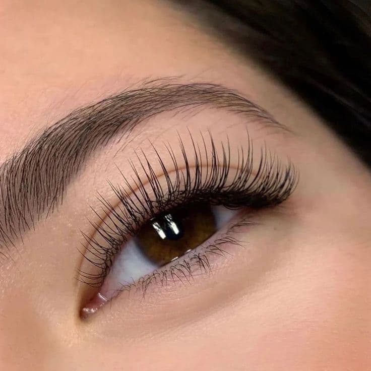 Classic Lashes