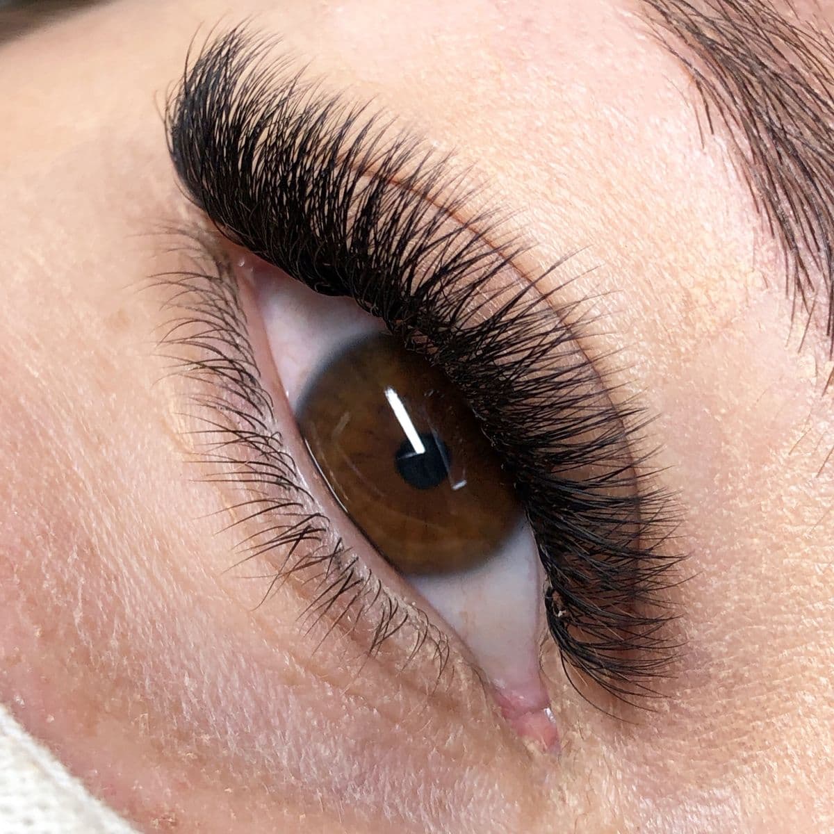 Volume Lashes